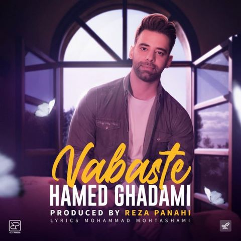 حامد قدمی وابسته