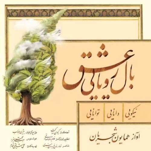 همایون شجریان بال رویایی عشق
