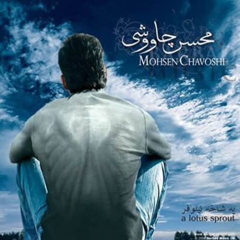 محسن چاوشی ناز