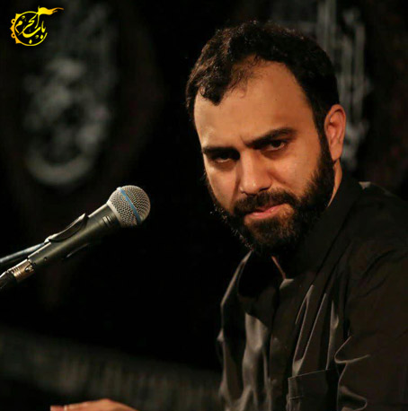 سید مهدی حسینی به سر هوای حرم