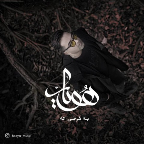 هویار به شرطی که