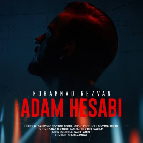 محمد رضوان آدم حسابی