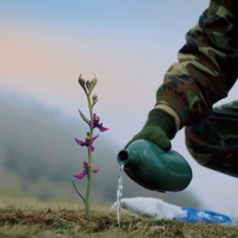عاشق زولفیه و بابک خبرین وارمی