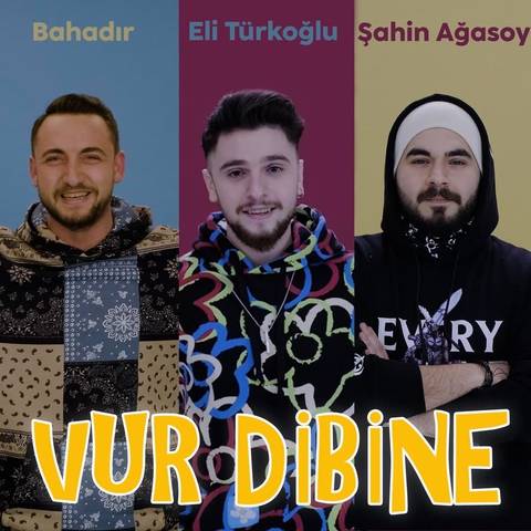 الی تورک اوغلو وور دیبینه