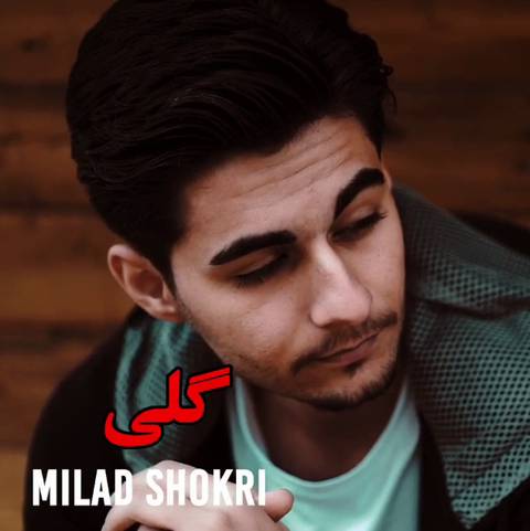 میلاد شکری گلی