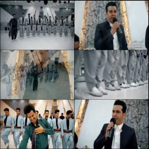 شاهین مظهری باز شکاری