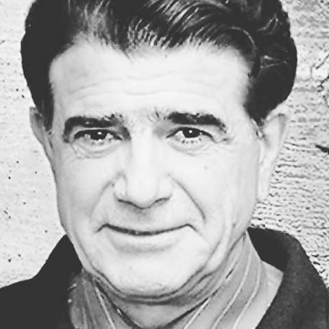 محمدرضا شجریان مرغ سحر ناله سر کن