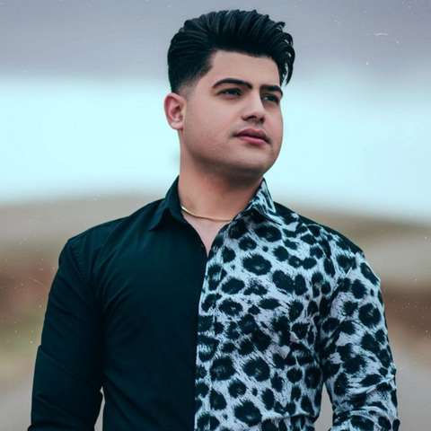 امیرحافظ رنجبر لیلی