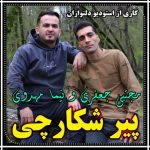 دانلود آهنگ مجتبی جعفری و نیما مهدوی پیر شکارچی