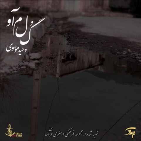 وحید موسوی گلمآو