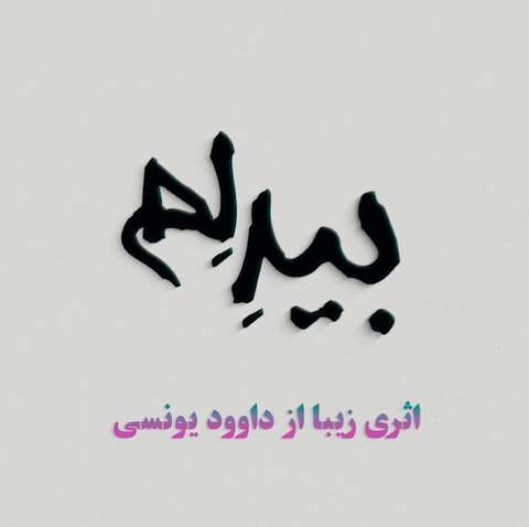 داوود یونسی بیدلم