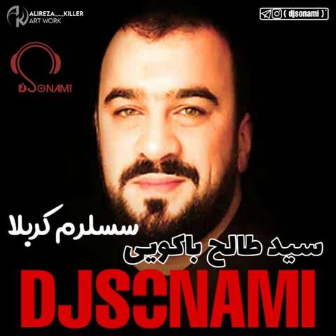 دی جی سونامی سسلرم کربلا