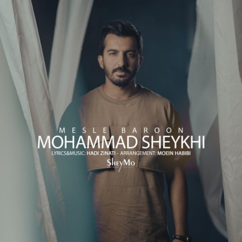 محمد شیخی مثل بارون
