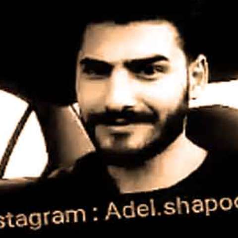 عادل شاپور به تو چه
