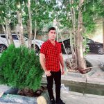 دانلود آهنگ مهیار برومند تو رفتی و نموندی دل منو شکوندی