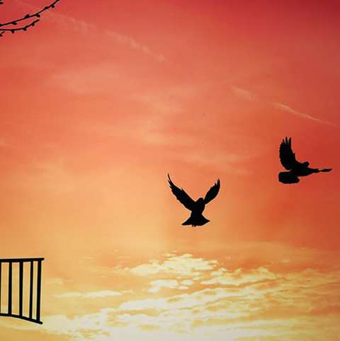 آزادی ریمیکس رپ