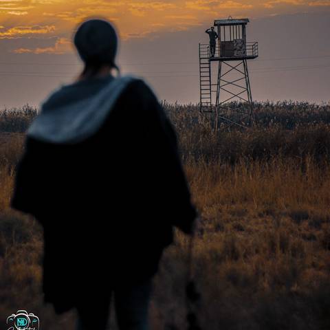 آبراهام زندونی