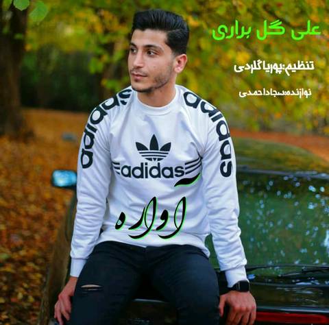 علی گل براری آواره بیمه دلبر