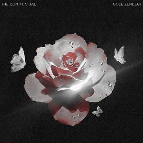 دن The Don و سیجل گل زندگی