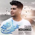 دانلود آهنگ محمد صالحی هزار و هیچ