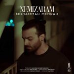 دانلود آهنگ محمد مهراد نمیذارم