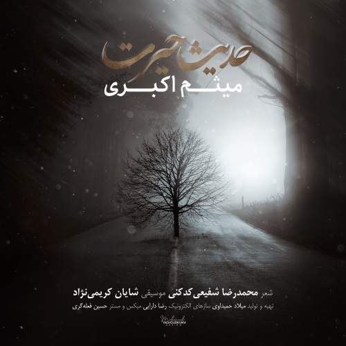 میثم اکبری حدیث حیرت