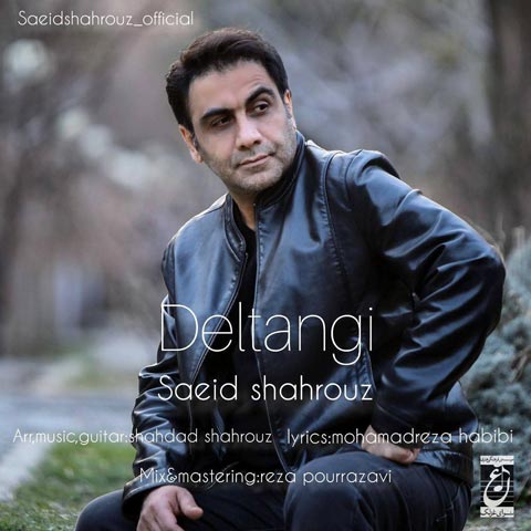 سعید شهروز دلتنگی