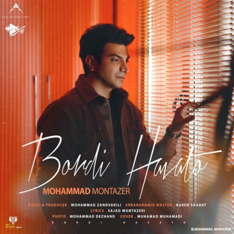 محمد منتظر بردی هواتو