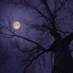 دانلود آهنگ فارسی ماه شبای سردم میگفتی برمیگردم