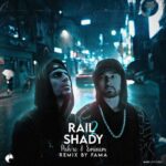 دانلود ریمیکس رپ فاما ریمیکس Rail Shady 2