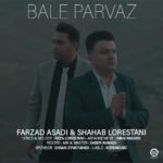 دانلود آهنگ فرزاد اسدی و شهاب لرستانی بال پرواز