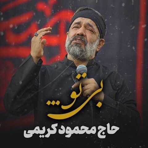 محمود کریمی بی تو