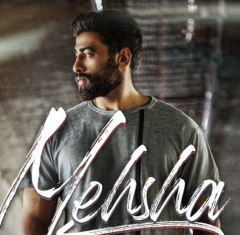 مهشا چرخ و فلک