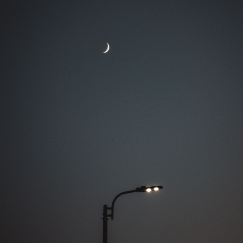ناجی گلومی