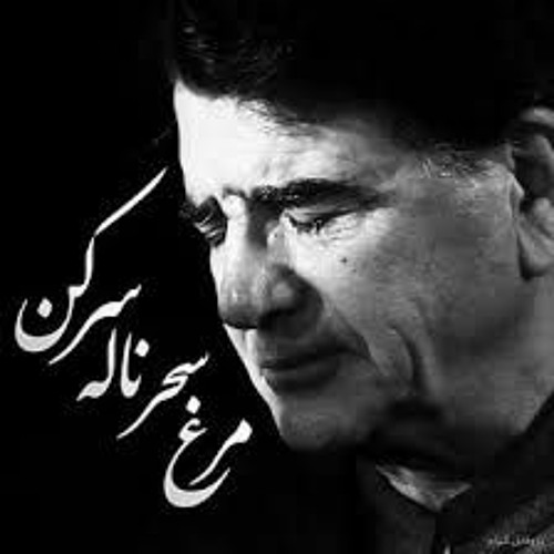 سورنا و شجریان و بهرام و مسین و شایع مرا به هیچ بدادی و من هنوز بر آنم