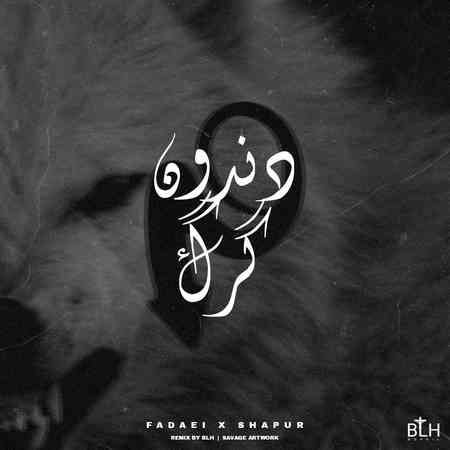 بی ال اچ دندون گرگ
