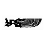 دانلود آهنگ سعل چگینی تو نه (اجرای زنده)