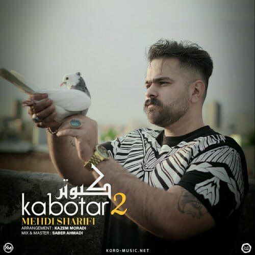 مهدی شریفی کبوتر 2 مهدی شریفی کبوتر 2