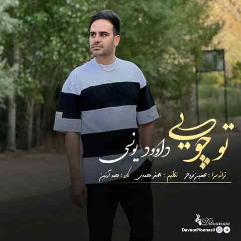 داوود یونسی تو چویی داوود یونسی تو چویی