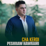 آهنگ جیدا شیدا جیدا شری دائم چه بیدی چه کردی چه کردی نهاتی دویته‌ بیرم کردی از پیشرو هورامی