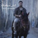 دانلود آهنگ سالار صفرزاده کش موهات
