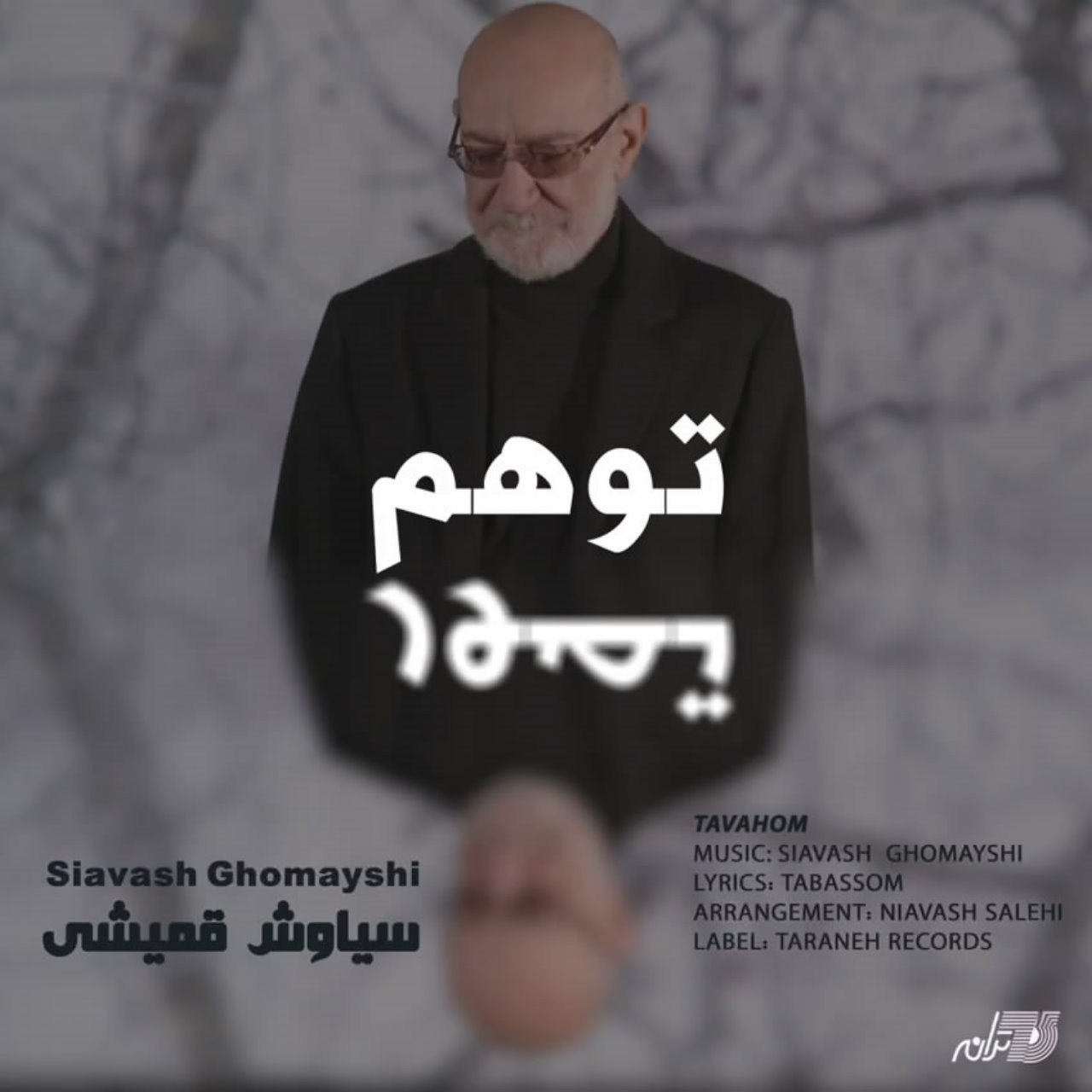 سیاوش قمیشی توهم سیاوش قمیشی توهم