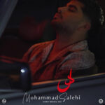 دانلود آهنگ محمد صالحی دل