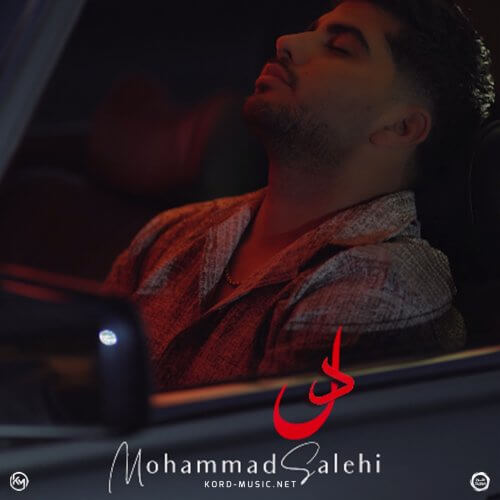 محمد صالحی دل محمد صالحی دل