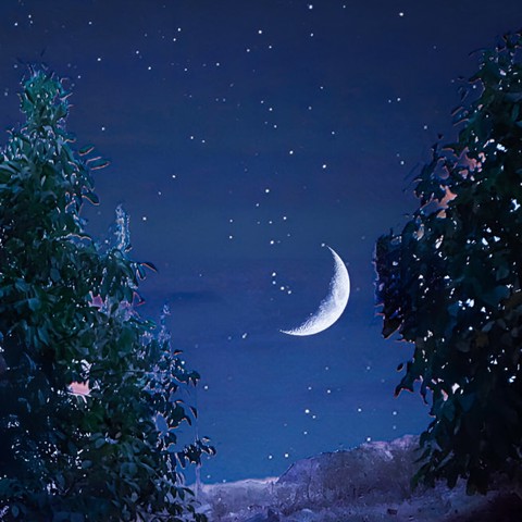  با همه لاس میزنم یه زنگ به عباس میزنم