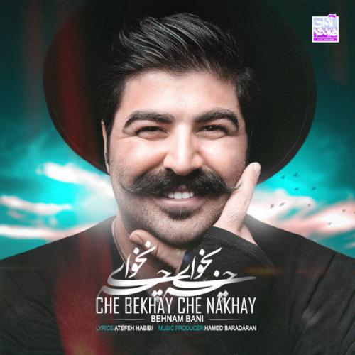 بهنام بانی  چی بخوای چی نخوای