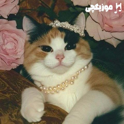   تمام دنیا یک طرف تو یک طرف عزیزم ورژن اینستا