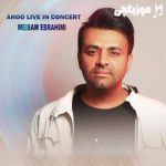 دانلود آهنگ میثم ابراهیمی آهو اجرای زنده