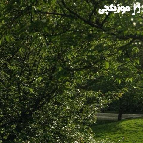   فرهاد خسته شد از این همه کندن