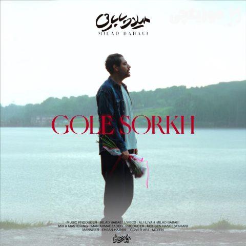 میلاد بابایی گل سرخ میلاد بابایی گل سرخ